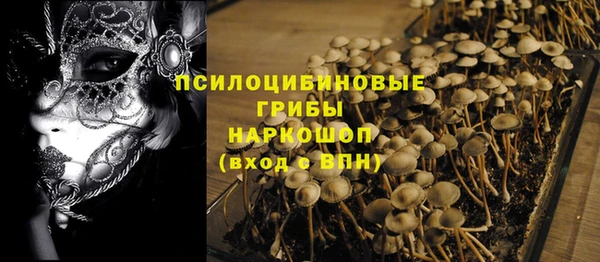 бошки Аркадак