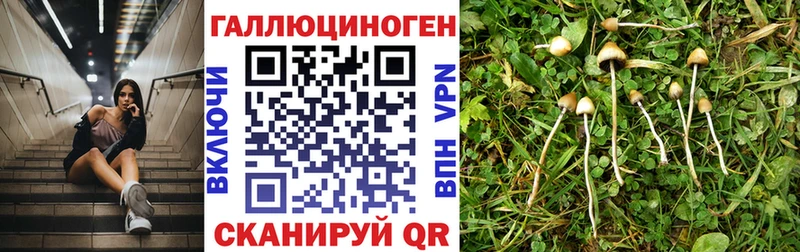 Галлюциногенные грибы Magic Shrooms  Тетюши 